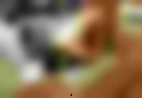 免费国产公开视频在线,探索中国光影魅力