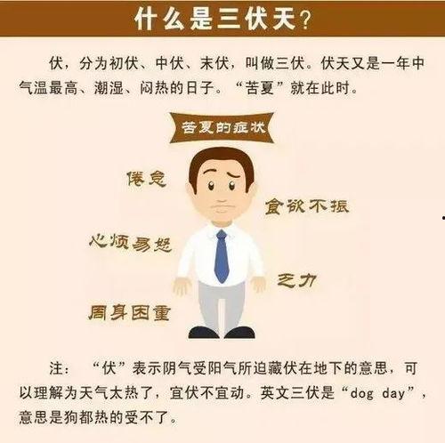 国产三伏祝福视频,国产视频传递清凉温情