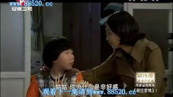 吹潮国产普通话视频,探寻语言魅力与文化传承